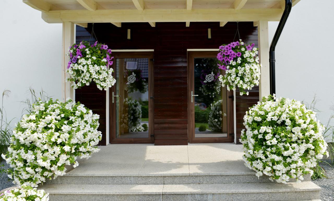 Apartamenty U Harrego II Przy Stawie Spa Klimatyzacja,Balkon,Sauna , Balia, Ogrod,Parking Kudowa-Zdrój Exteriör bild