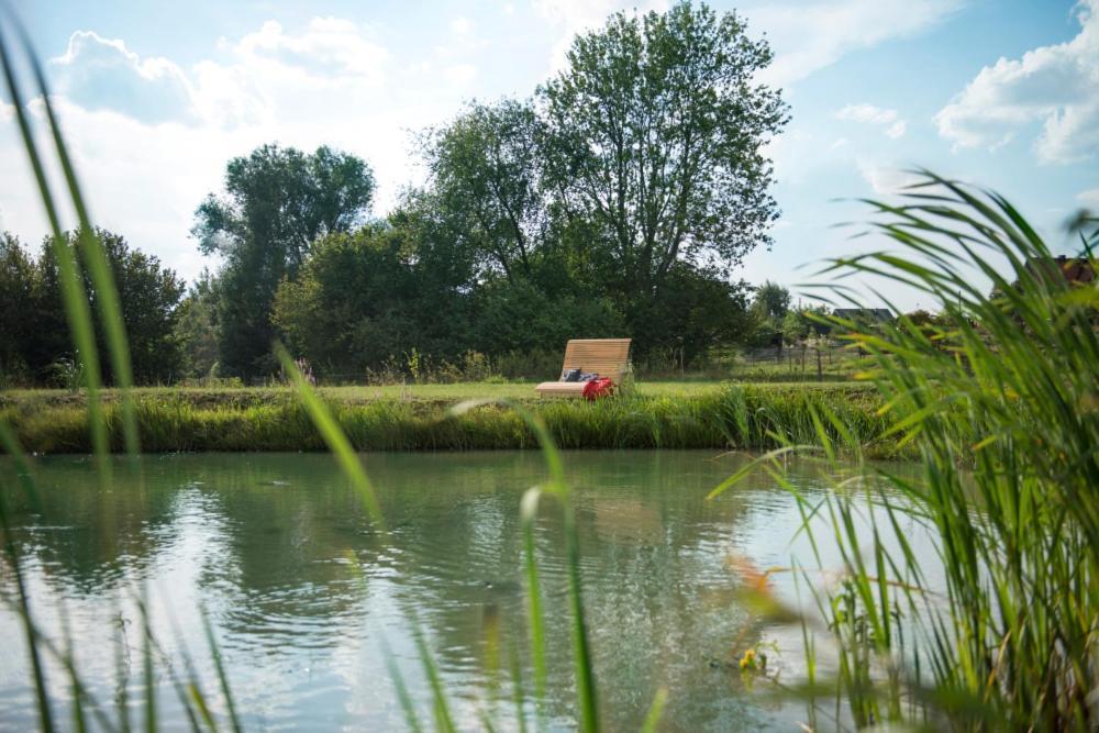 Apartamenty U Harrego II Przy Stawie Spa Klimatyzacja,Balkon,Sauna , Balia, Ogrod,Parking Kudowa-Zdrój Exteriör bild
